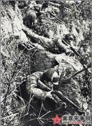 ���κ�������